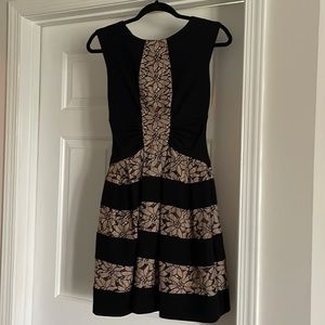 Beautiful Eva Franco black dress with lace inset- Small